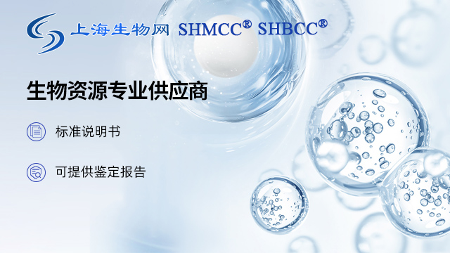 柄篮状菌SHMCCD63777-酿酒酵母SHMCCD5496